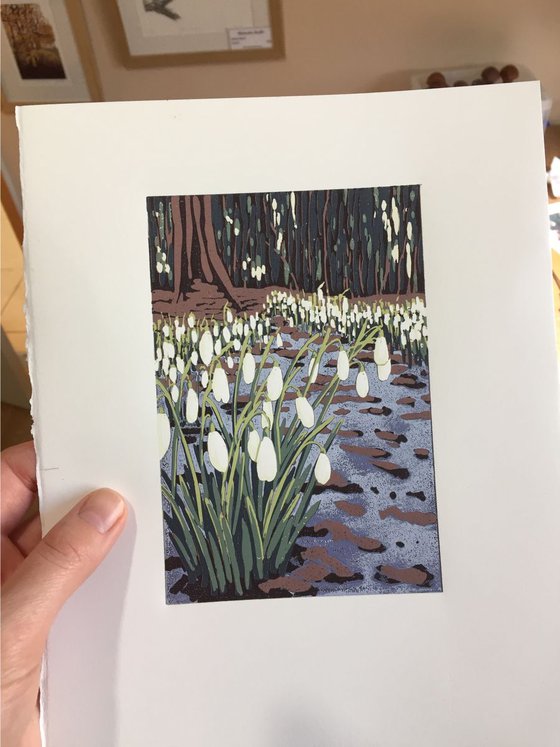 Snowdrops and Melting Snow