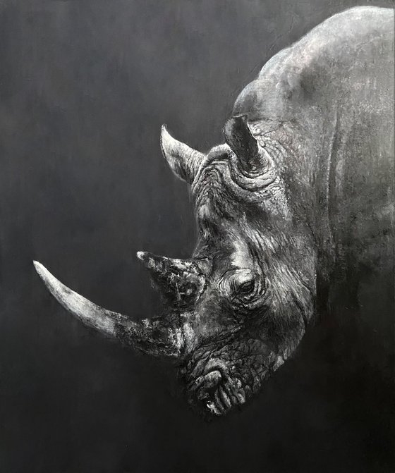 Rhinoceros from the shadows