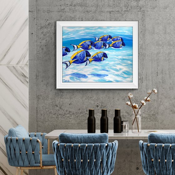 Blue Tang Fish School