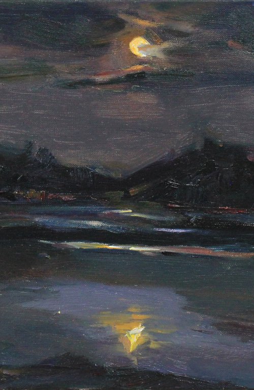 Fading Light by Alisa Onipchenko-Cherniakovska