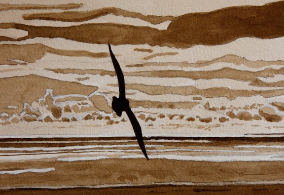 Free Spirit (Herring Gull Soaring over the Sea at Downderry, Cornwall)