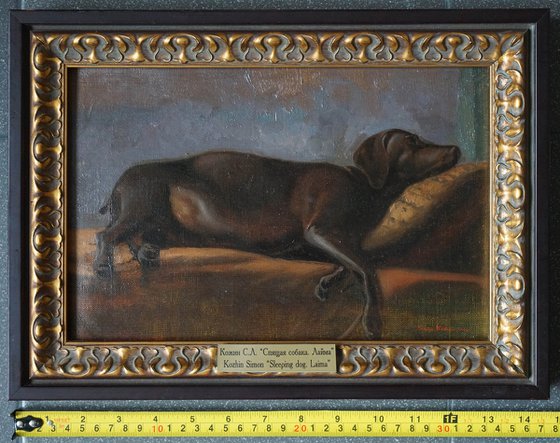 Sleeping dog. Laima