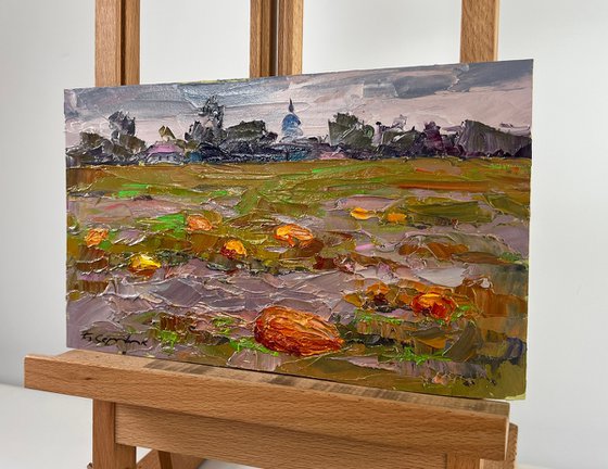 Autumn has Come to the Pumpkin Field