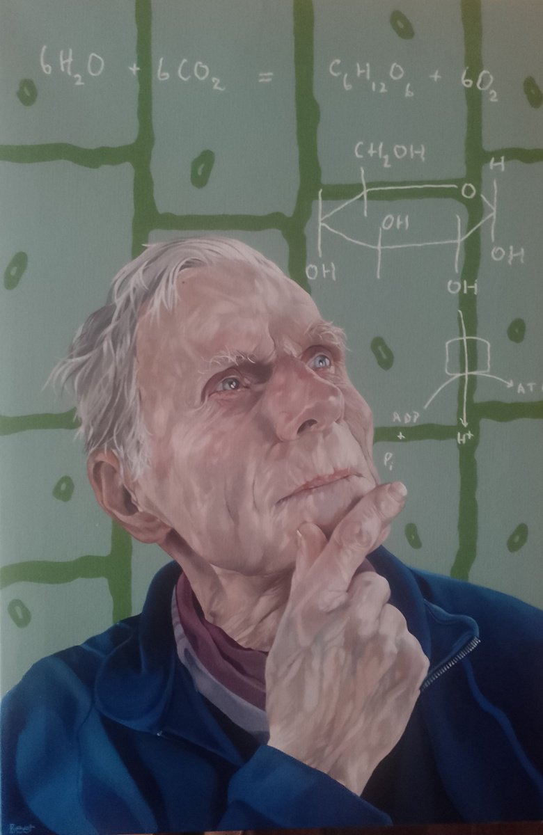 Photorealistic Oil Painting , Formulae For Life By Jo Beer, 24 X 36, Artwork For Sale On Artfinder