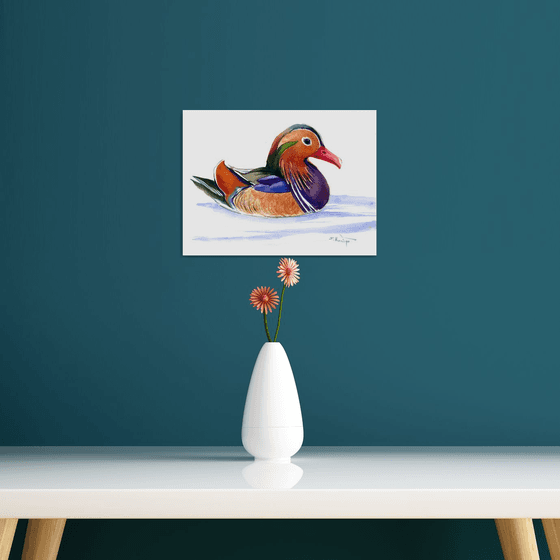 Mandarine Duck
