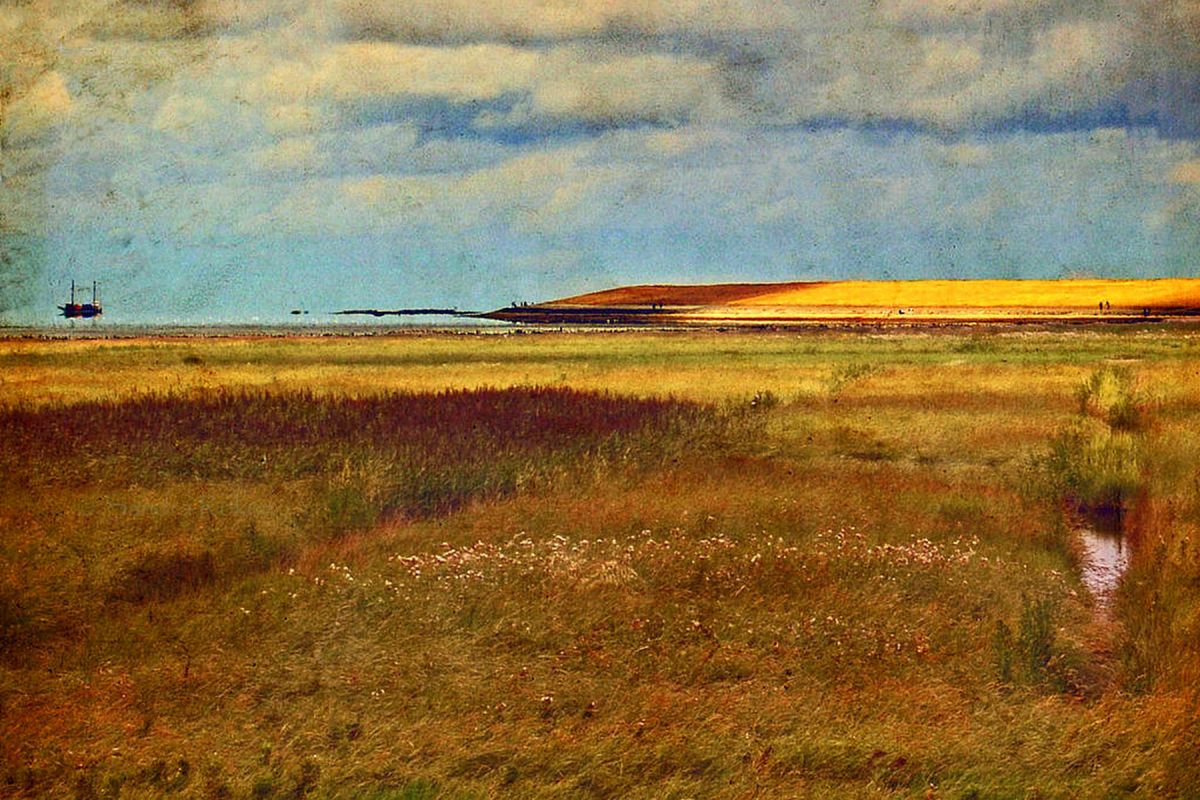 Autumn Marshes - Canvas 90 x 60 cm by Sandra Roeken