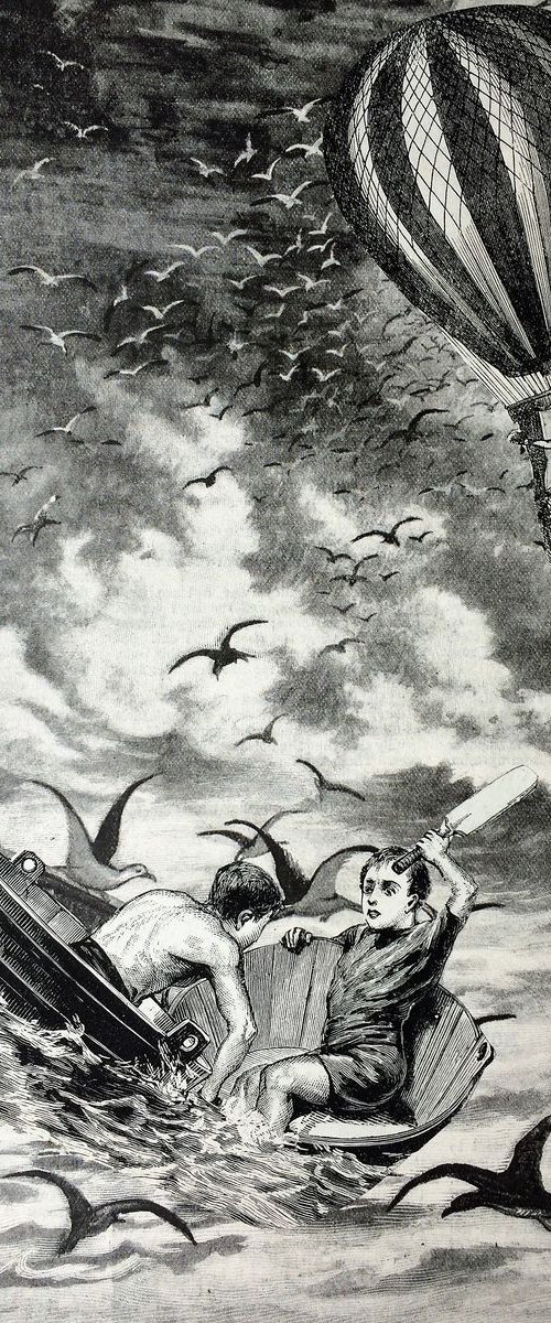 Gulls by Tudor Evans