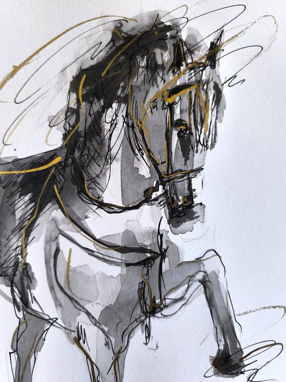 Equine Poetry Series