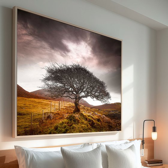 The One Tree, Isle of Skye