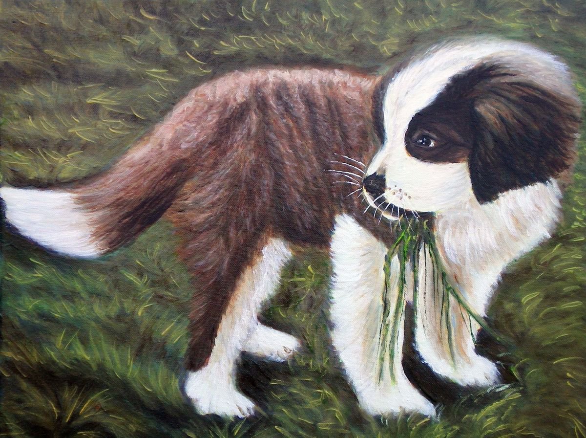 Impressionistic Animal Oil Painting By Elena Sokolova, 20 X 16, Baby Sen Bernar, Original Artwork