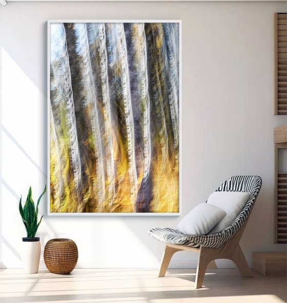 Birches (studio 6)