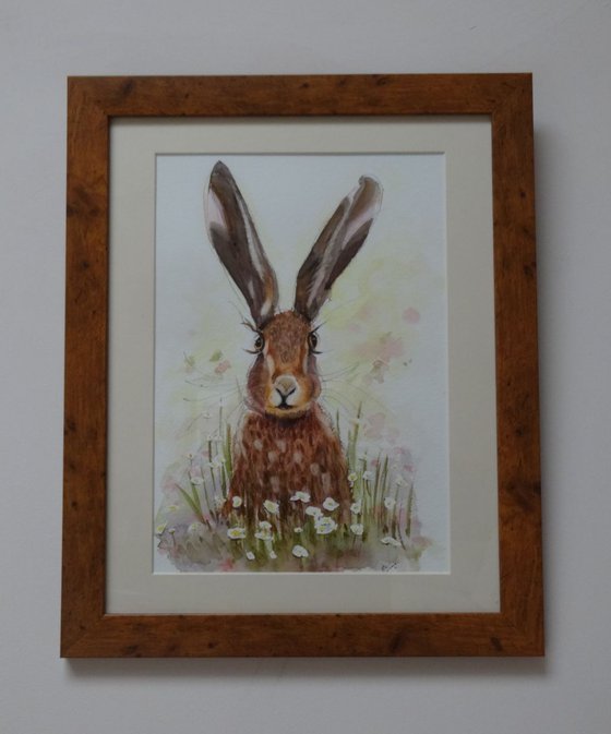 Hare,    Spring in the Hare