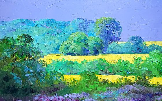 Rapeseed fields