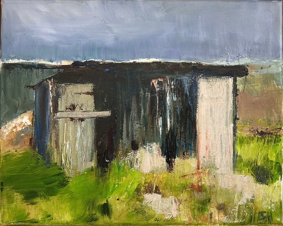 Allotment Shed