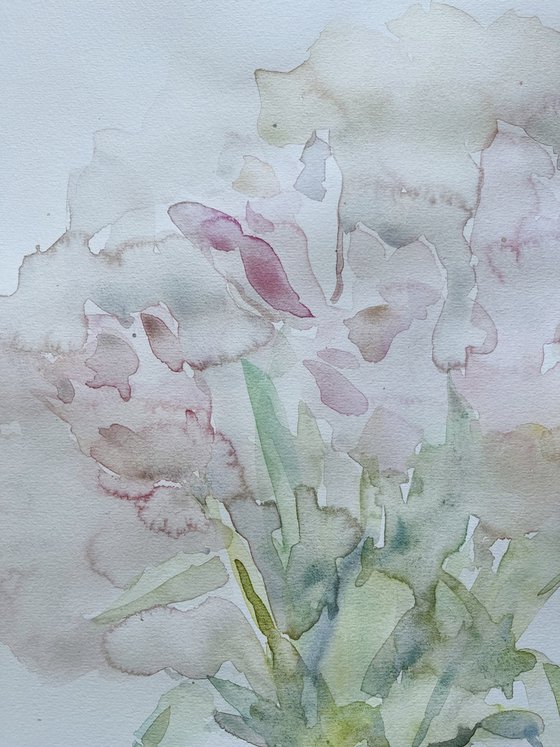 Peonies 40x60cm 2025