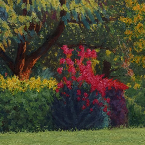 Summer's Last Blush
