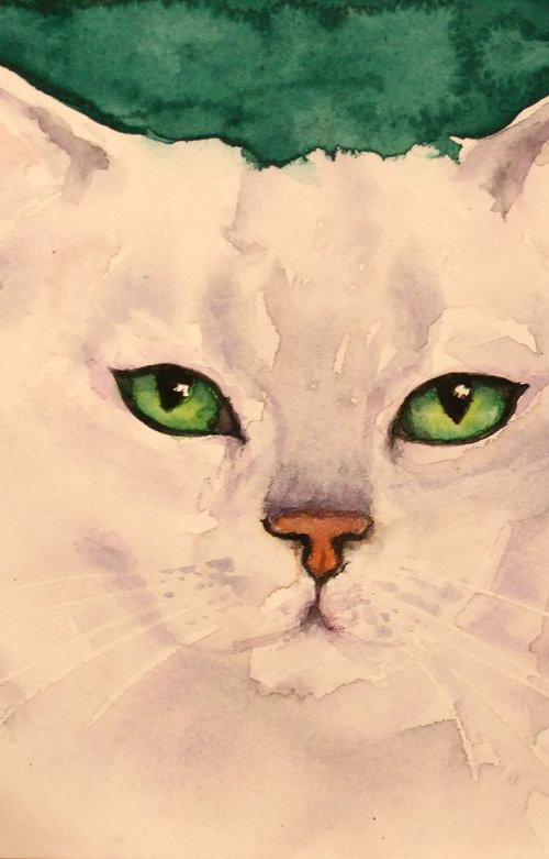 CAT PORTRAIT V / BURMILLA / ORIGINAL PAINTING by Salana Art