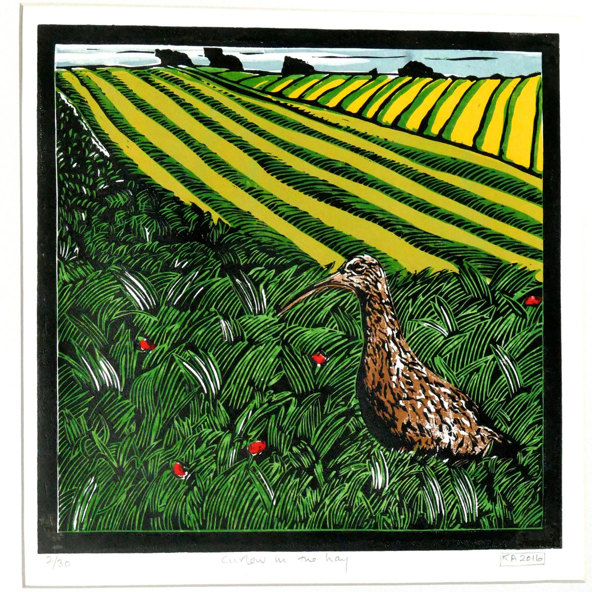 Illustrative Animal Linocut By Keith Alexander, 20 X 20", Curlew In The Hay, Original Artwork