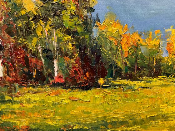 Sun after rain. Autumn