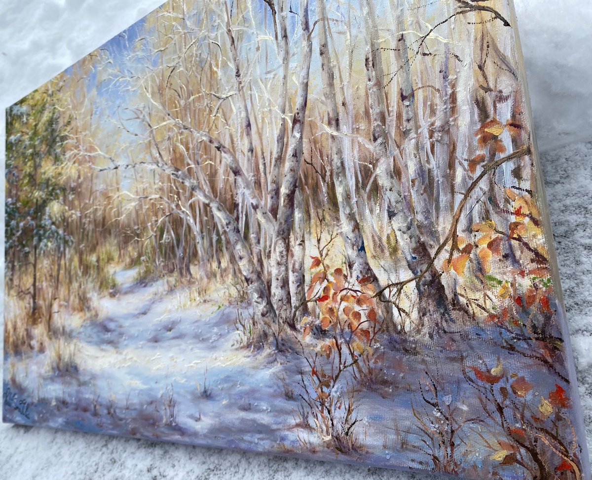 Photorealistic Landscape Oil Painting By Oana Voda, 24 X 16", Winter And Sun, Original Artwork