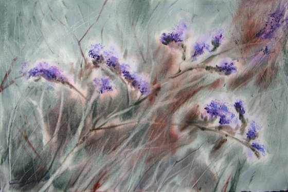 The field herbs
