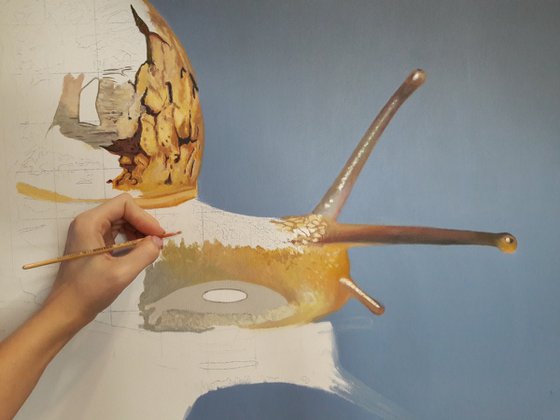 painting Snail, snail art, hyperrealism, realistic acrylic painting