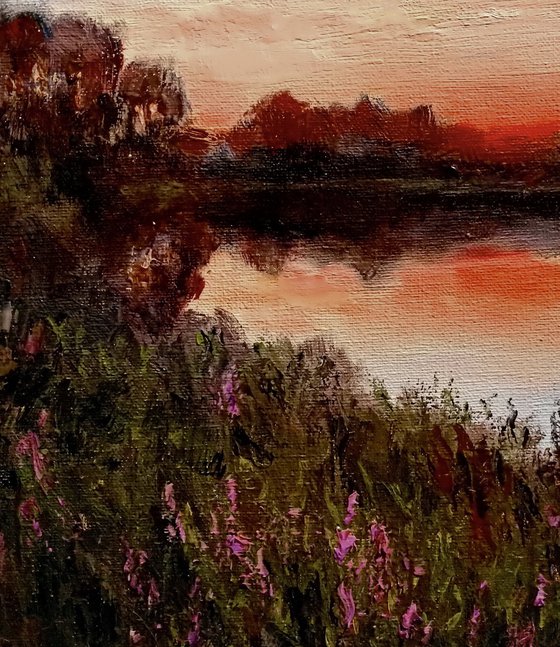 Evening by the lake