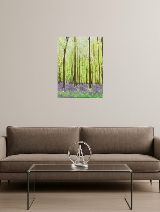 Bluebell Woods