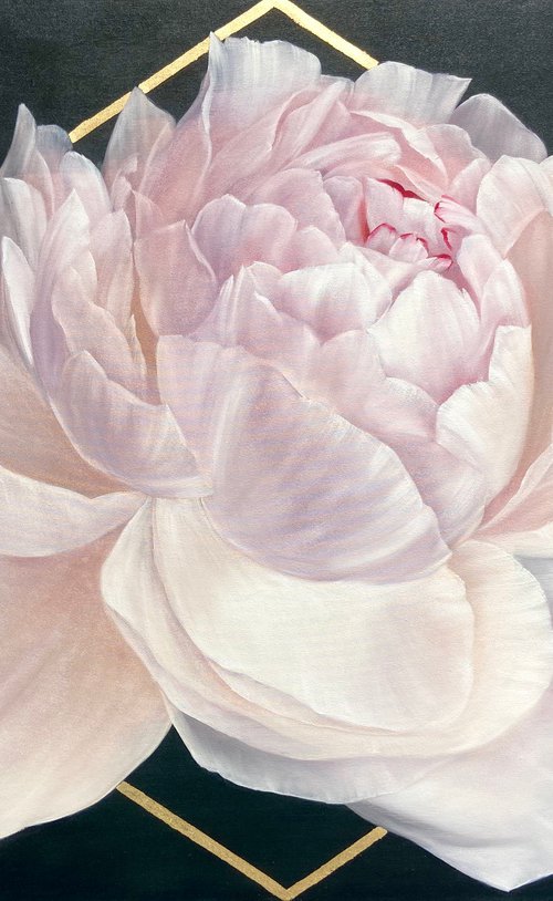 ROYAL PEONY 150/100 by Alexandra Ozerova