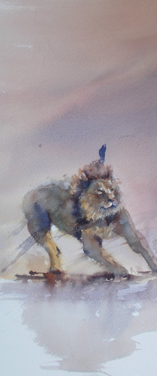 lion 7 by Giorgio Gosti