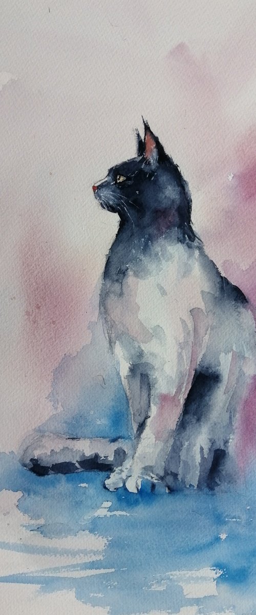 cat 19 by Giorgio Gosti