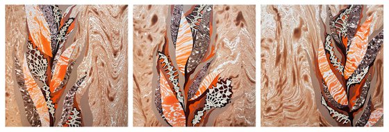 Set of 3 «Cozy Oasis»