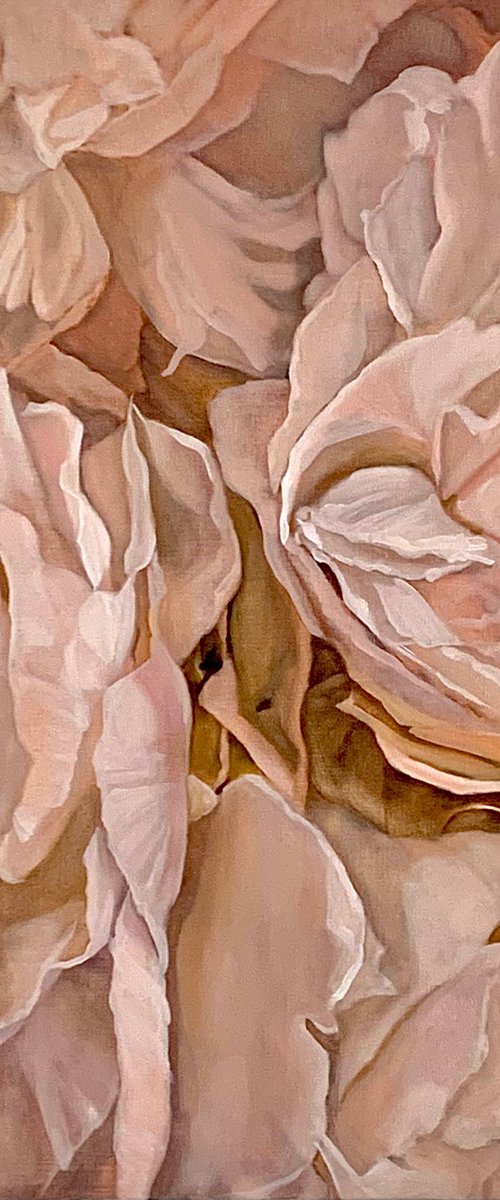 PEONIES by Ilze  Ērgle - Vanaga