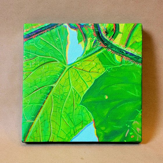 Cucumber Leafs Triptych