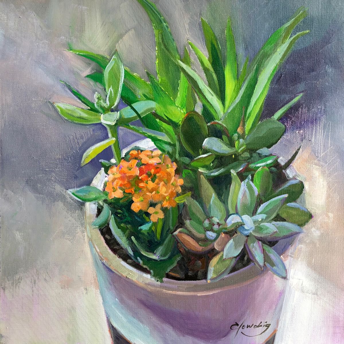 Succulents by Elo Wobig