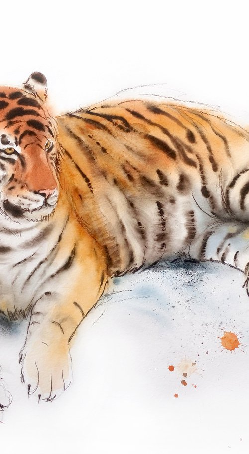 Siberian Tiger by Olga Beliaeva Watercolour