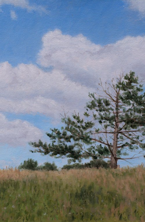 The Lonely Pine by Dejan Trajkovic