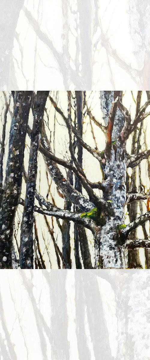The Warrior - large landscape painting with old wisdom tree in the sunlight by Leonid Plekhanov