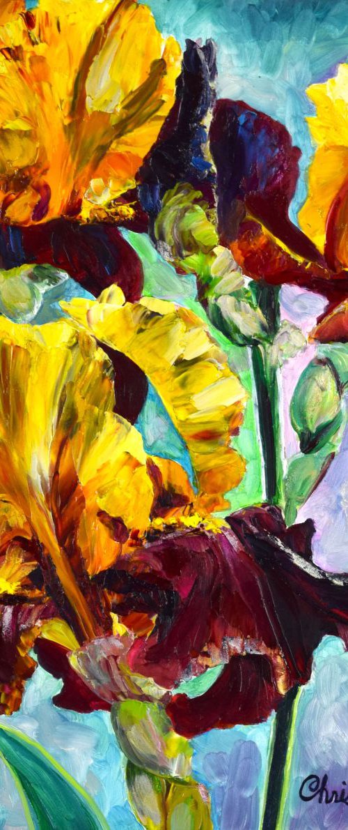"Supreme Sultan" Iris IV by Christina M Plichta