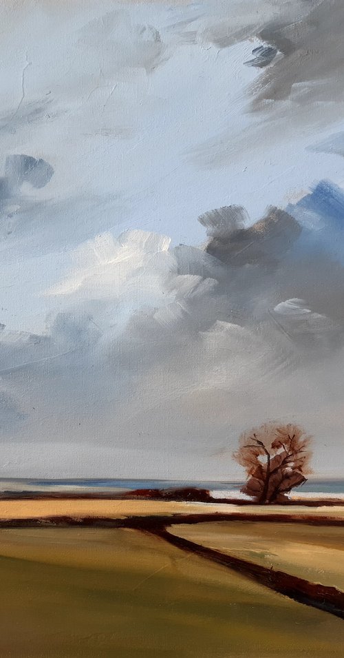 Norfolk landscape#1 by Steve Keenan