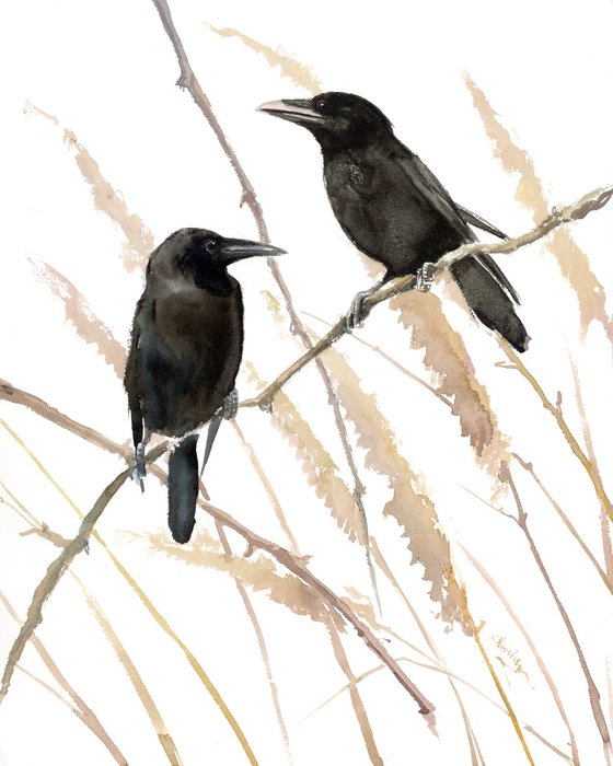 Two Crows in the Wild