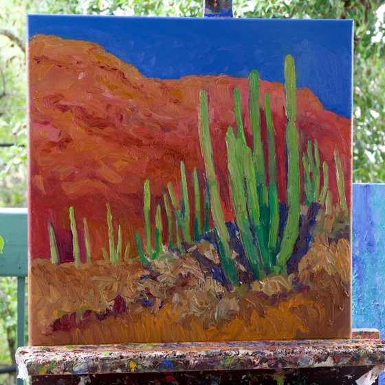 Landscape with a Cactus
