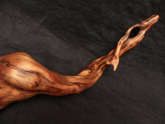 Mist Dragon - Abstract Motion Sculpture