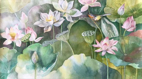 Water lilies by Inna Katsev