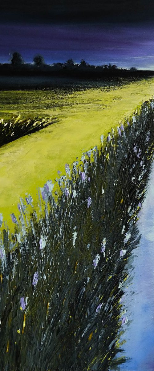 All the Lines and the Fields- Fields and Colors Series by Danijela Dan