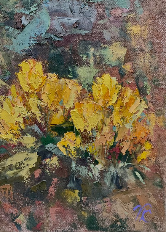 CROCUSES