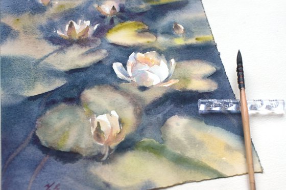 Water lilies in watercolor, White flowers of the river