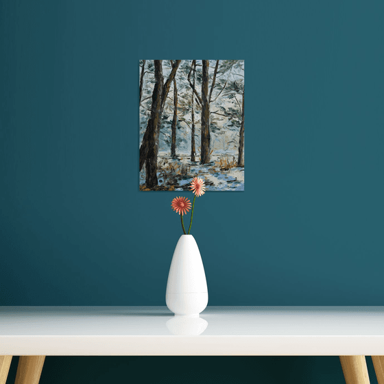 Sunlight through the Pines