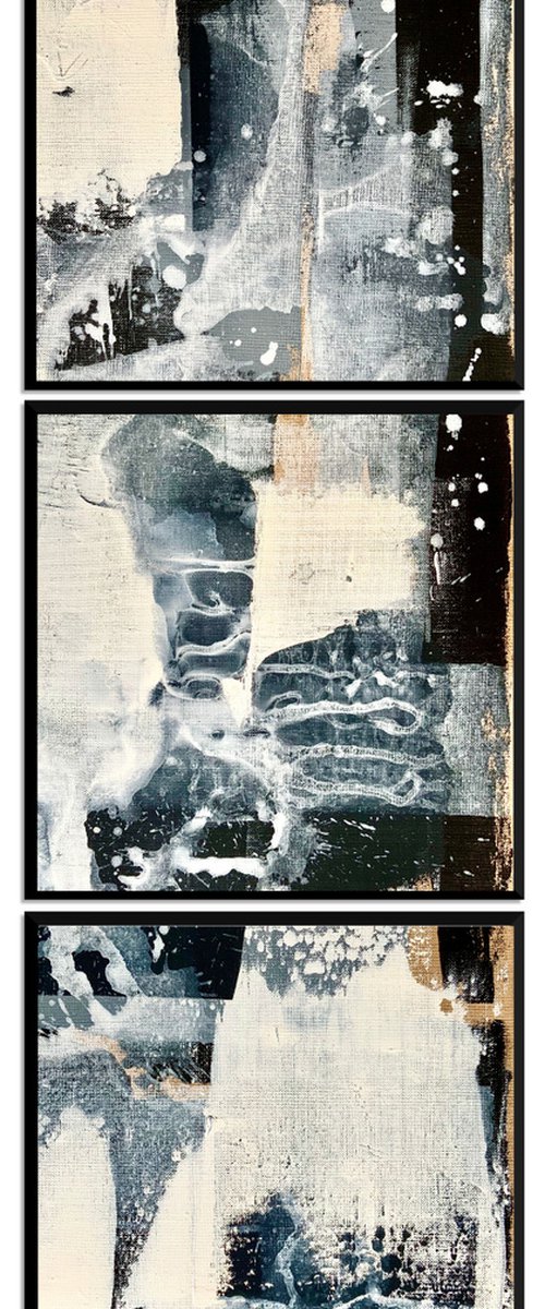 Abstract black & white No. 16320-1-3 -set of 3 by Anita Kaufmann