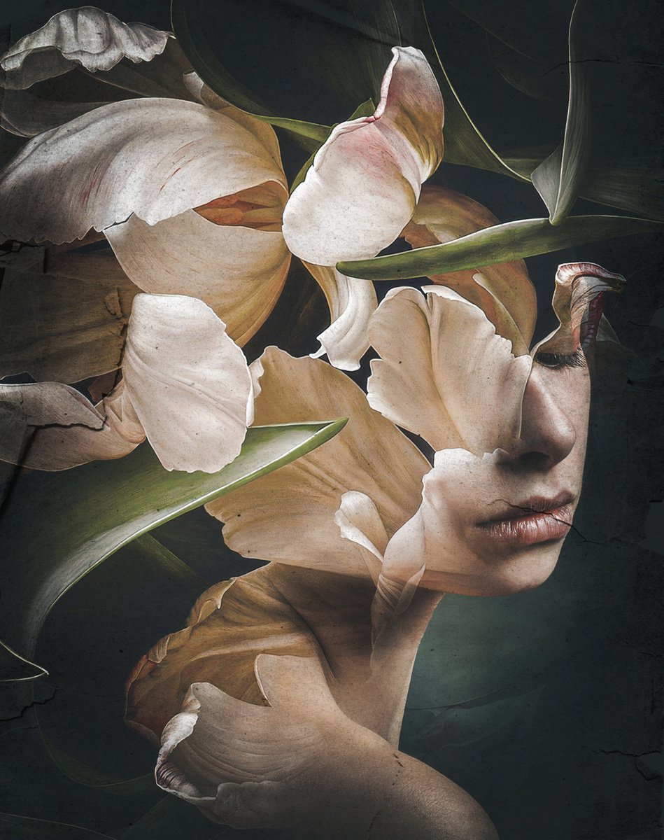 Botanical collection Vol 30. Sleep mode. Art portrait on canvas by Elmira Namazova